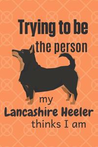 Trying to be the person my Lancashire Heeler thinks I am