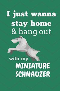 I just wanna stay home & hang out with my Miniature Schnauzer: For Miniature Schnauzer Dog Fans