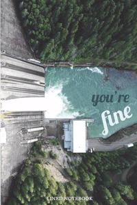 Dam You're Fine