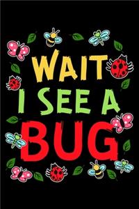Wait I See a Bug