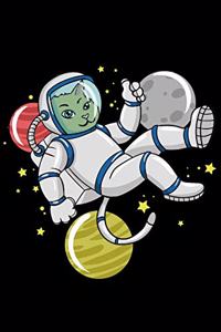 Cat Astronaut