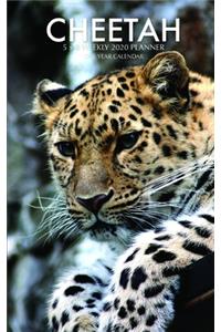Cheetah 5 x 8 Weekly 2020 Planner