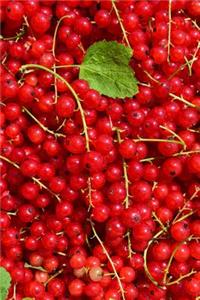 Do You Love Red Currant Berries? Journal