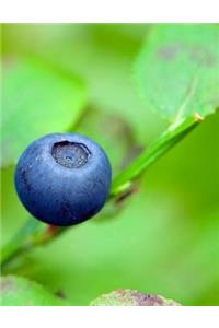 Blueberry Blue Blueberries Berries Berry Blues Plant Fruit Juice Juicing Juices