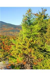 School Composition Book Mountain Ledge Autumn View 130 Pages