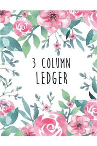 3 Column Ledger
