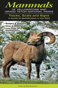 Mammals of Yellowstone & Grand Teton National Parks Tracks, Scats and Signs