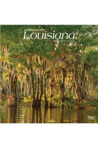 Louisiana Wild & Scenic 2020 Square