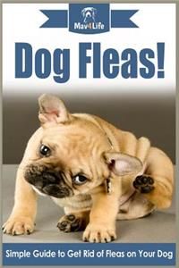 Dog Fleas!