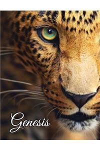 Genesis