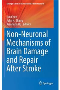 Non-Neuronal Mechanisms of Brain Damage and Repair After Stroke