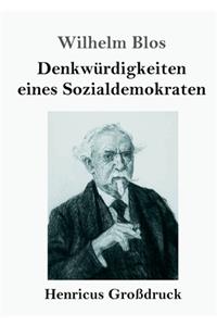 Denkwürdigkeiten eines Sozialdemokraten (Großdruck)