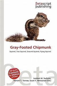 Gray-Footed Chipmunk