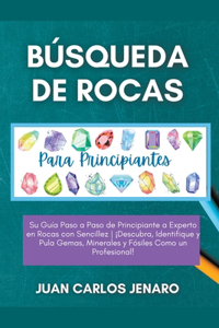 Búsqueda de rocas Para Principiantes