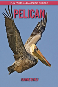 Pelican