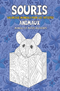 Coloriage Mandala pour les artistes - Mandala et motifs relaxants - Animaux - Souris