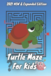 Turtle Maze For Kids