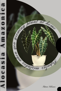 Alocasia Amazonica