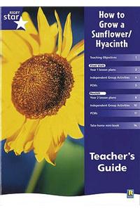 Rigby Star Shared Year 1 Non-Fiction: How to Grow a Sunflower / Hyacinth Teachers Guide