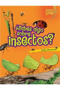 Â¿sabes Algo Sobre Insectos? (Do You Know about Insects?)