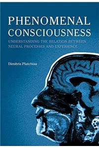 Phenomenal Consciousness