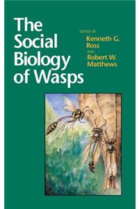 Social Biology of Wasps