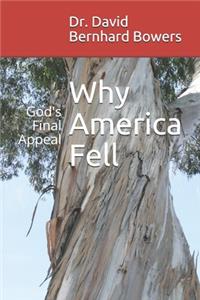 Why America Fell
