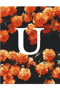 U