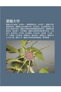 AI Yuan Da Xue: AI Yuan Da Xueno Jiao Yuan, Tian Zh Ng G Ng Y, AI Yuan Sh Fan Xue Xiao, Zh Ng C N XI Er