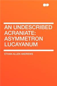 An Undescribed Acraniate: Asymmetron Lucayanum