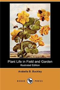 Plant Life in Field and Garden (Illustrated Edition) (Dodo Press)