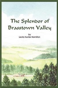 Splendor of Brasstown Valley