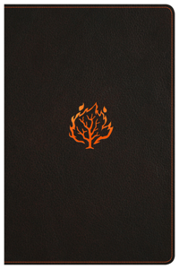 I Am Bible, Black LeatherTouch