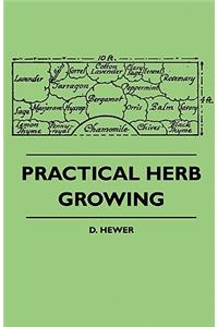 Practical Herb Growing