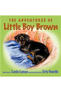 Adventures of Little Boy Brown