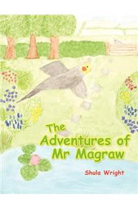 The Adventures of MR Magraw