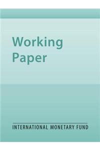 A Tradeoff Between the Output and Current Account Effects of Pension Reform
