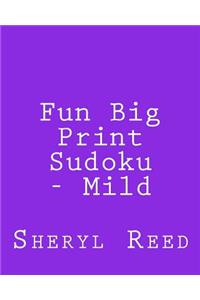 Fun Big Print Sudoku - Mild