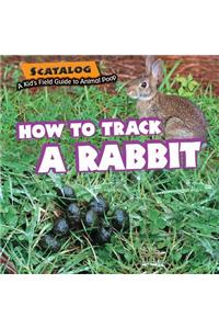 How to Track a Rabbit