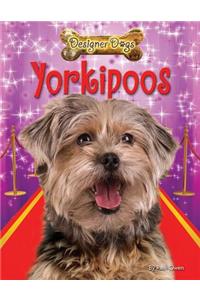 Yorkipoos