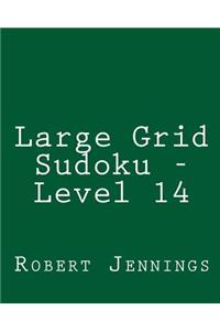 Large Grid Sudoku - Level 14