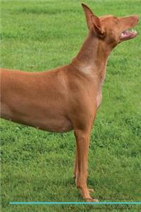 Pharaoh Hound Affirmations Workbook Pharaoh Hound Presents