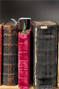 Classic Leather Bound Antique Books Dream Library Journal