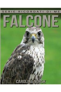 Falcone