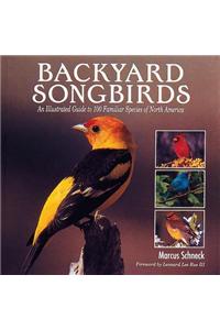 Backyard Songbirds