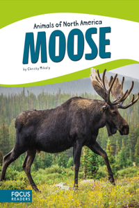 Moose