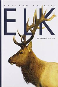 Elk