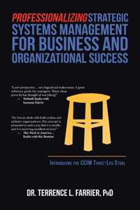 Professionalizing Strategic Systems Management for Business and Organizational Success