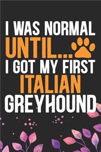 I Was Normal Until I Got My First Italian Greyhound