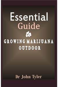 Essential guide to growing marijuana outdoor